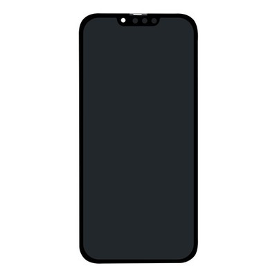 Apple Original Display iPhone 13 Pro Max aufbereitet