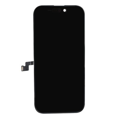 Apple Original Display iPhone 16 Pro Max aufbereitet