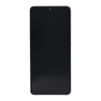 Samsung Original Display Galaxy S21 5G Ultra G998B mit Rahmen Phantom Silver