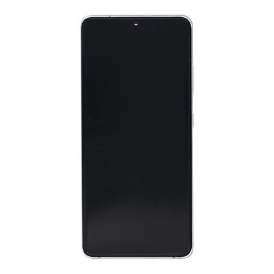 Samsung Original Display Galaxy S21 5G Ultra G998B mit Rahmen Phantom Silver