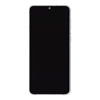 Samsung Original Display Galaxy S21 Plus 5G G996B mit Rahmen Phantom Silver