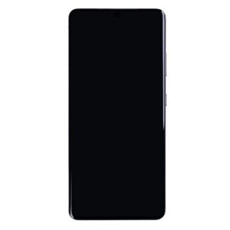 Samsung Original Display Galaxy S21 Ultra 5G G998B mit Rahmen Silber
