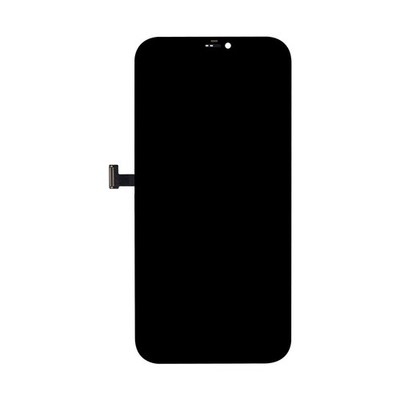 Apple Original Display iPhone 12 Pro Max ausgebaut