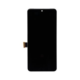 Soft-OLED Display für Google Pixel 8 Pro ohne Rahmen