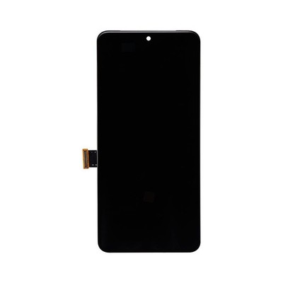 Soft-OLED Display für Google Pixel 8 Pro ohne Rahmen