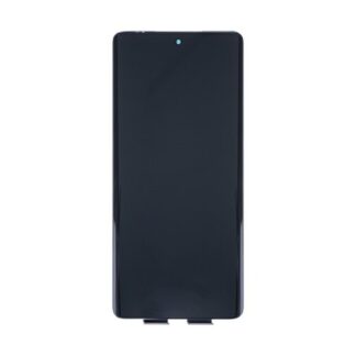 OEM Display für Motorola Edge 40 ohne Rahmen