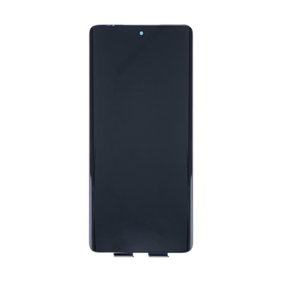 OEM Display für Motorola Edge 40 ohne Rahmen