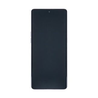 OEM Display für Oppo Reno9, Reno9 Pro mit Rahmen Gold