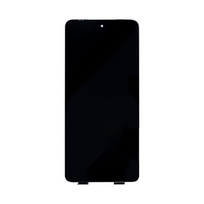 OEM Display für Motorola Moto G72 ohne Rahmen