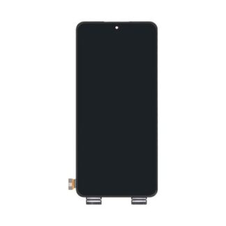 OEM Display für Realme GT Neo 3 ohne Rahmen
