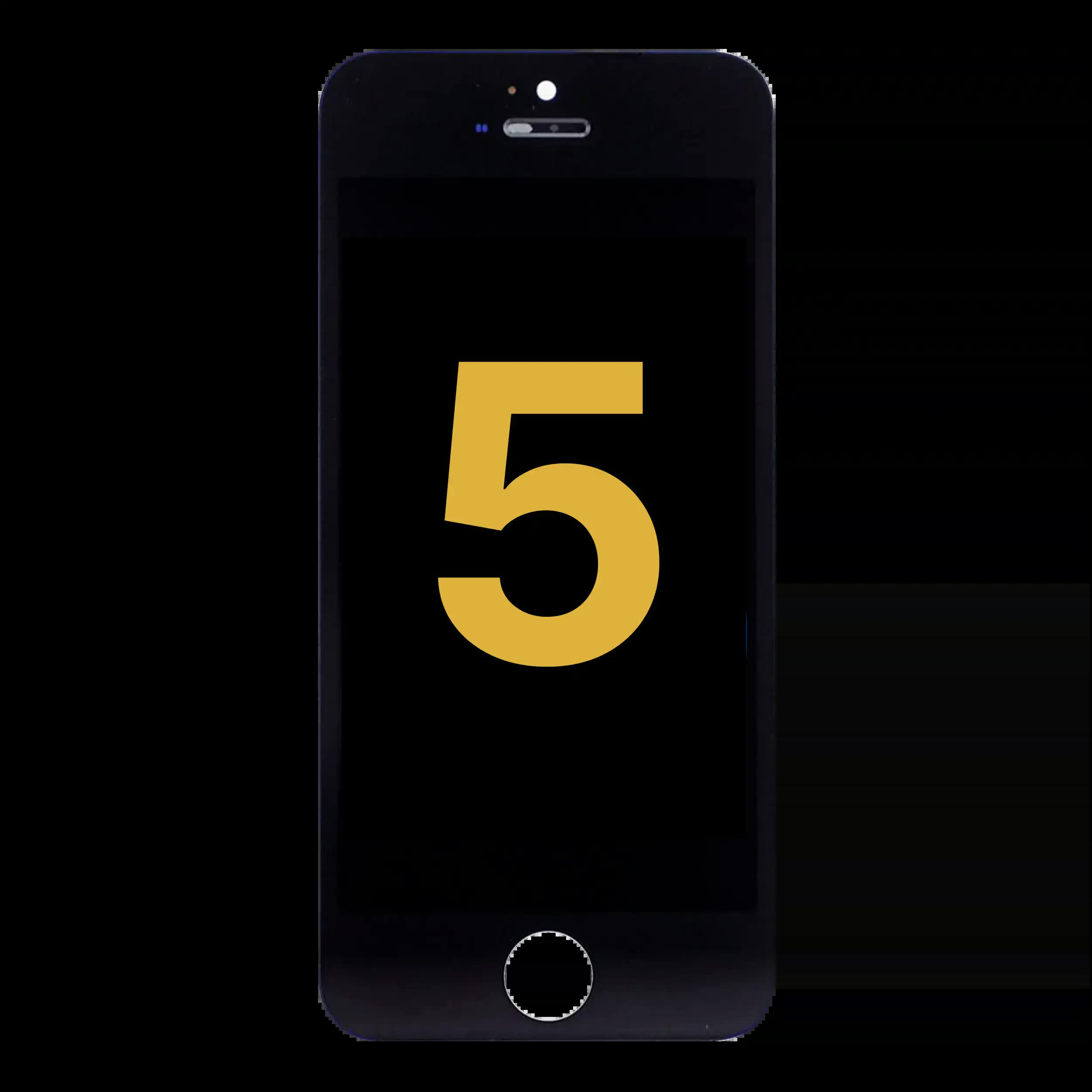 LCD Display für iPhone 5 (professionell aufgearbeitet) (Black (Schwarz))