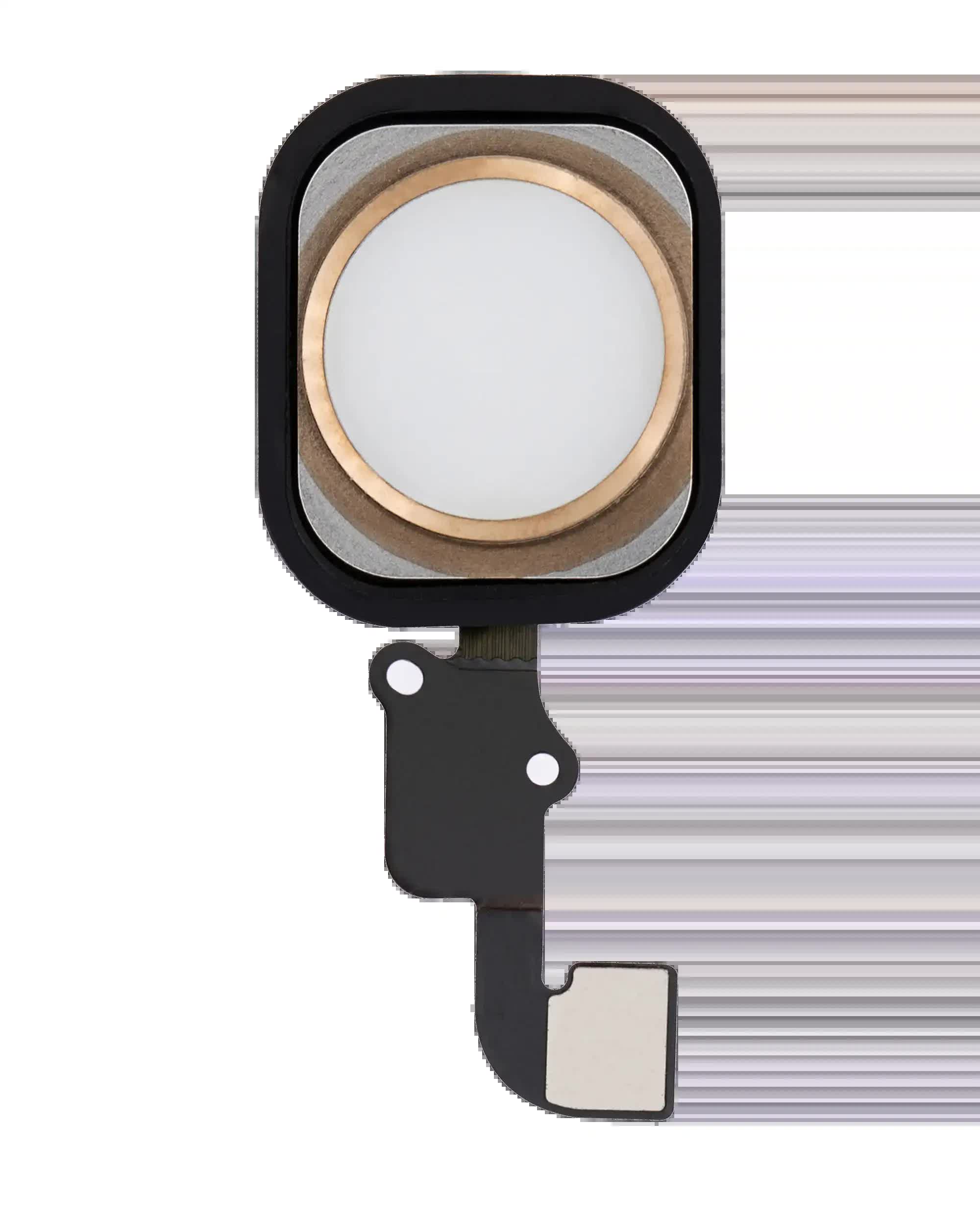 Homebutton mit Flexkabel für iPhone 6 / 6 Plus (Gold)