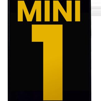 LCD für iPad Mini 1 (professionell aufgearbeitet)