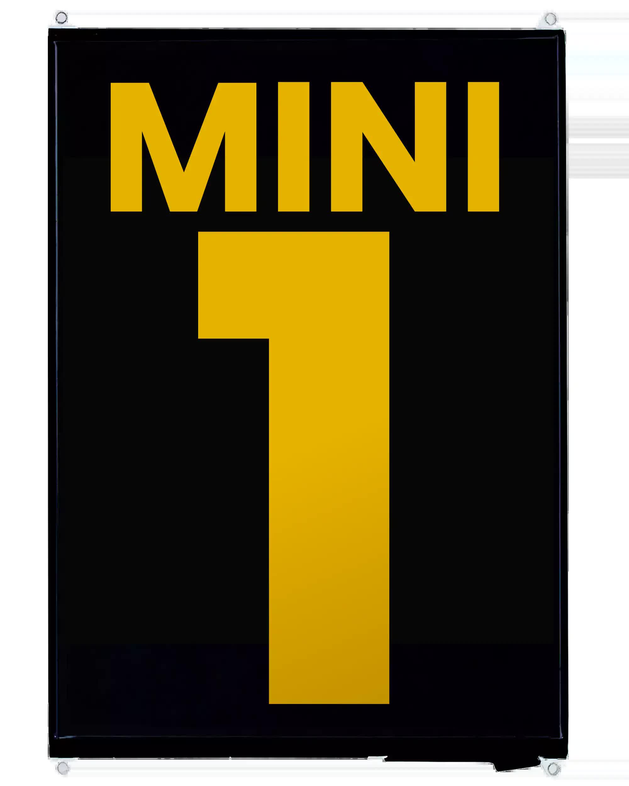 LCD für iPad Mini 1 (professionell aufgearbeitet)