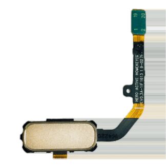 Homebutton-Flexkabel für Samsung Galaxy S7 Active (Sandy Gold)