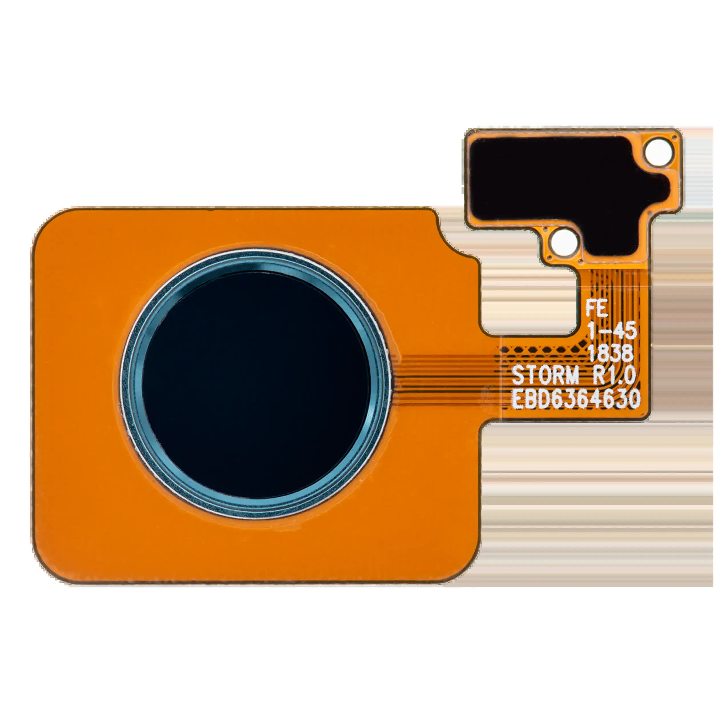 Homebutton Fingerprint Sensor mit Flex für LG G8 ThinQ / LG V50 ThinQ (Blue (Blau))