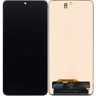 OLED Display ohne Rahmen für Samsung Galaxy S21 FE 5G (professionell aufgearbeitet)