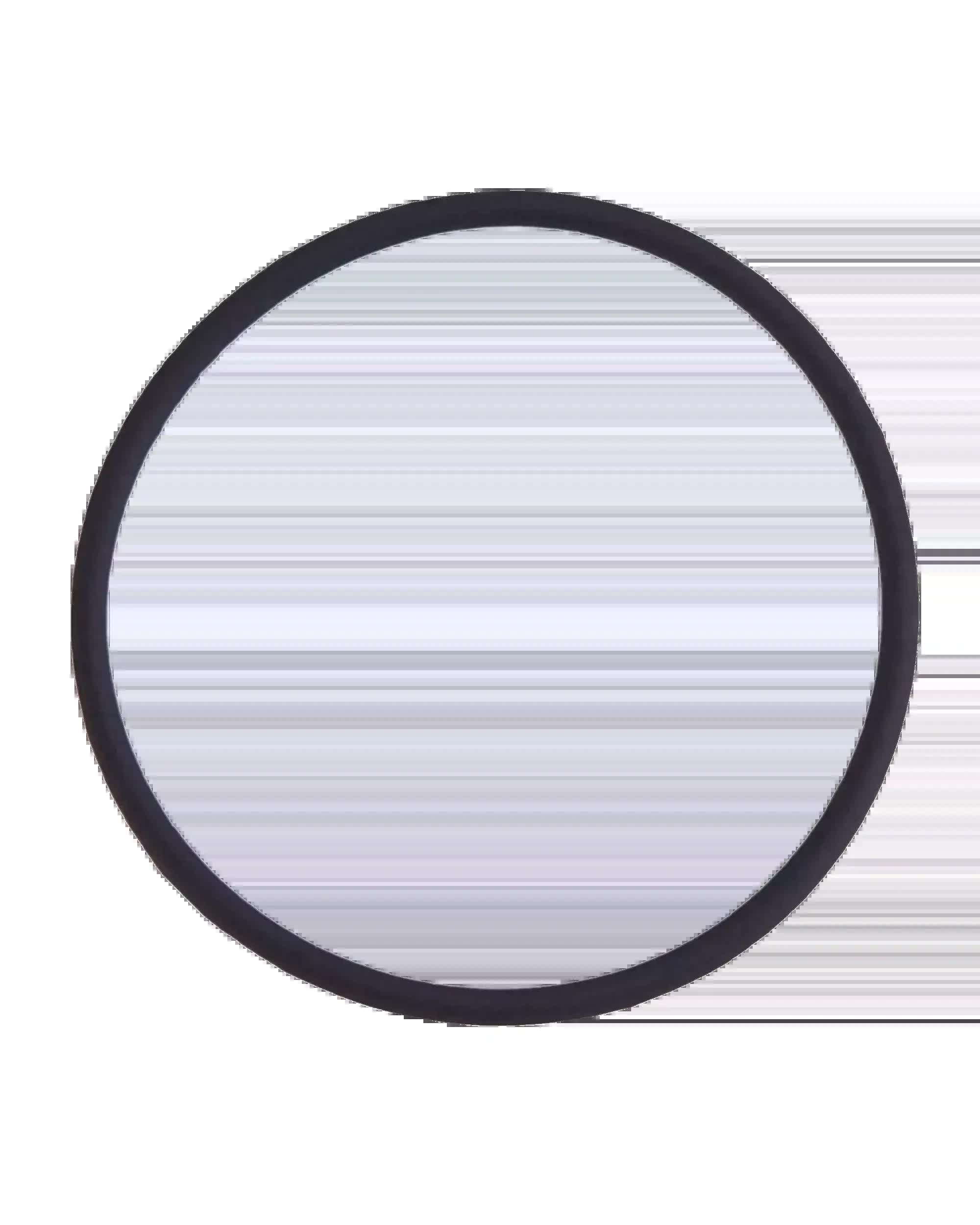 Rückkamera-Glas O-Ring Gasket für iPhone 7 Plus (100er-Pack)