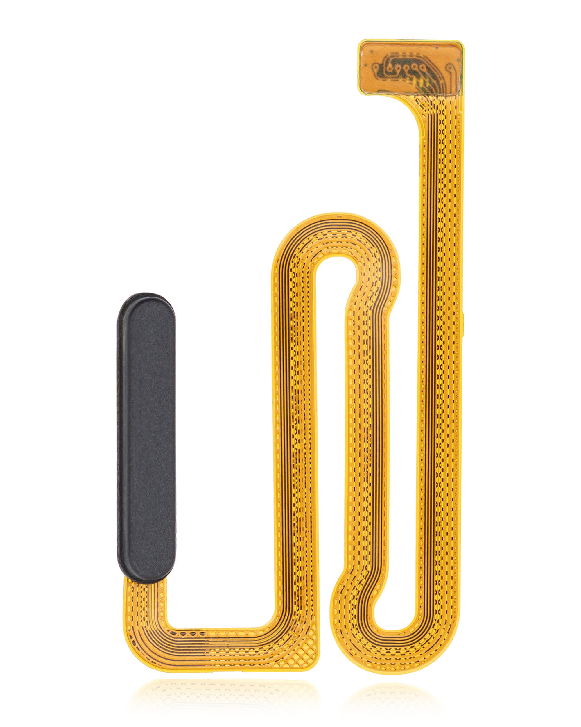 Fingerabdrucksensor mit Flexkabel für Samsung Galaxy A12 (A125 / 2020) (Black (Schwarz))