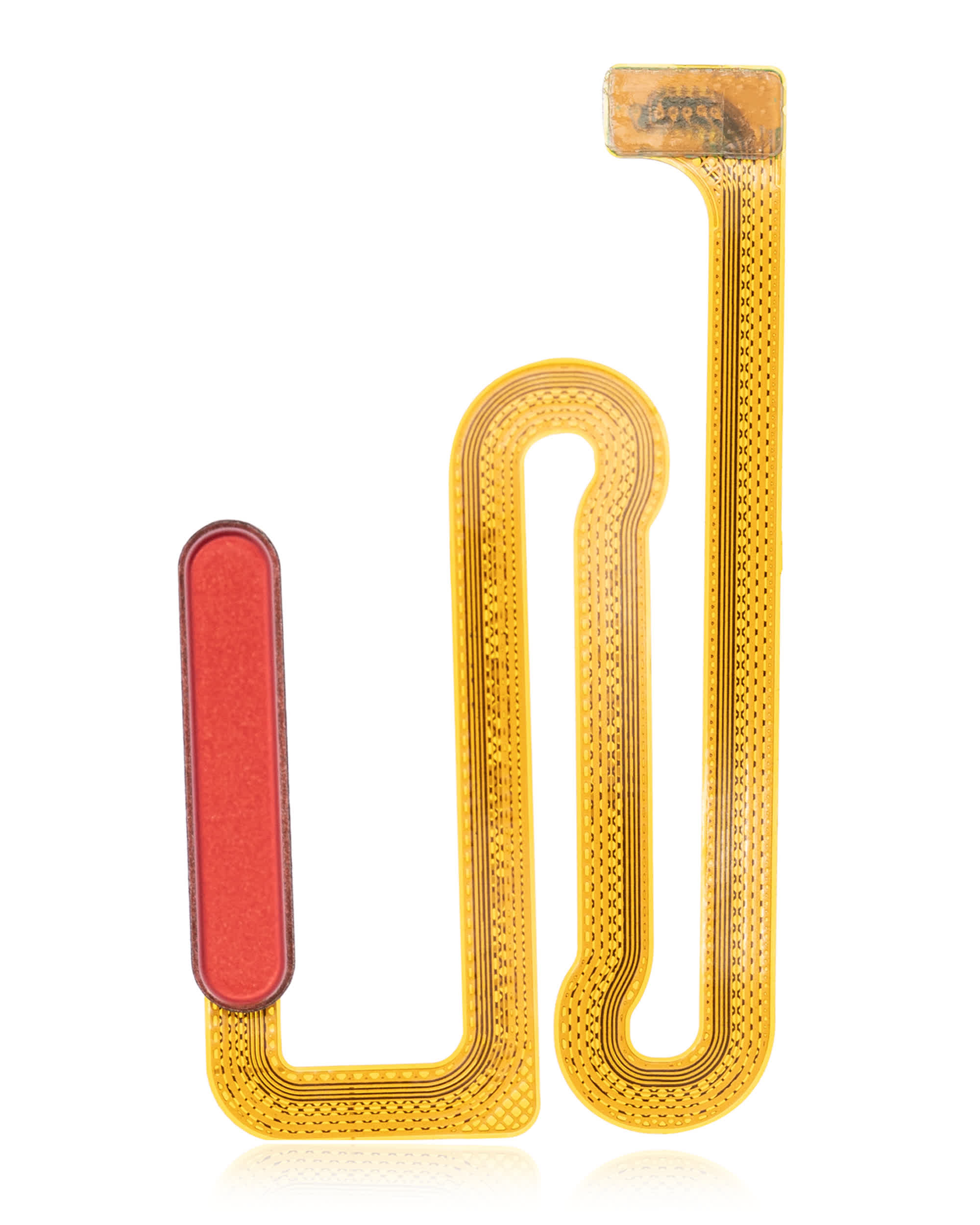 Fingerabdrucksensor mit Flexkabel für Samsung Galaxy A12 (A125 / 2020) (Red (Rot))