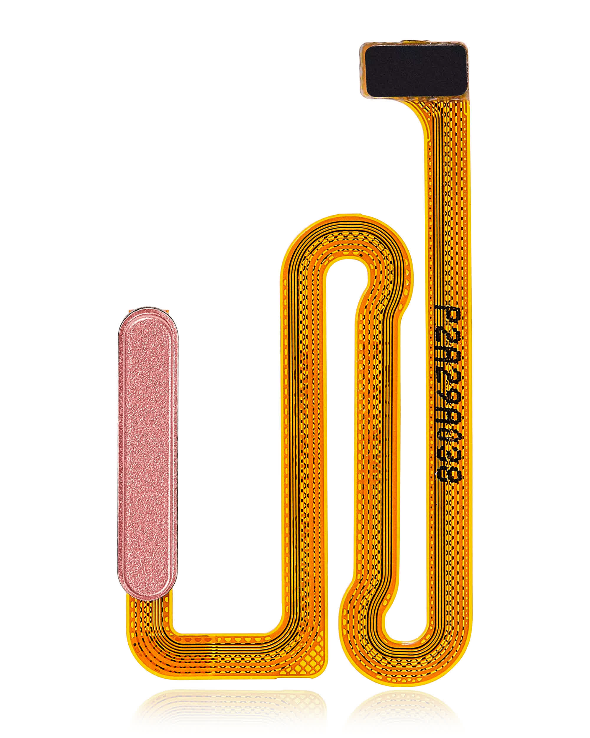 Fingerabdrucksensor mit Flexkabel für Samsung Galaxy A04s (A047 / 2022) (Copper)
