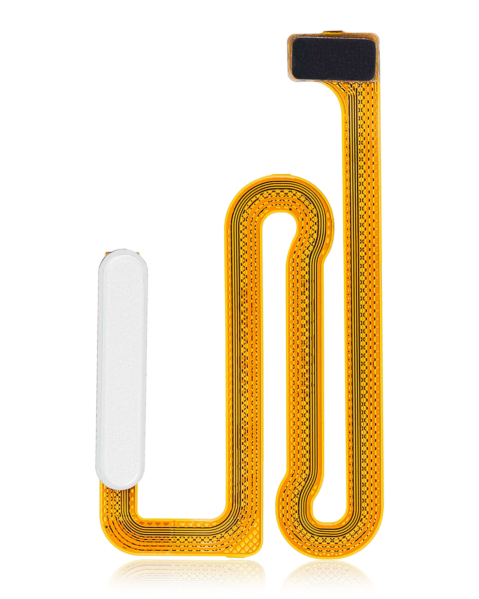 Fingerabdrucksensor mit Flexkabel für Samsung Galaxy A04s (A047 / 2022) (White (Weiß))