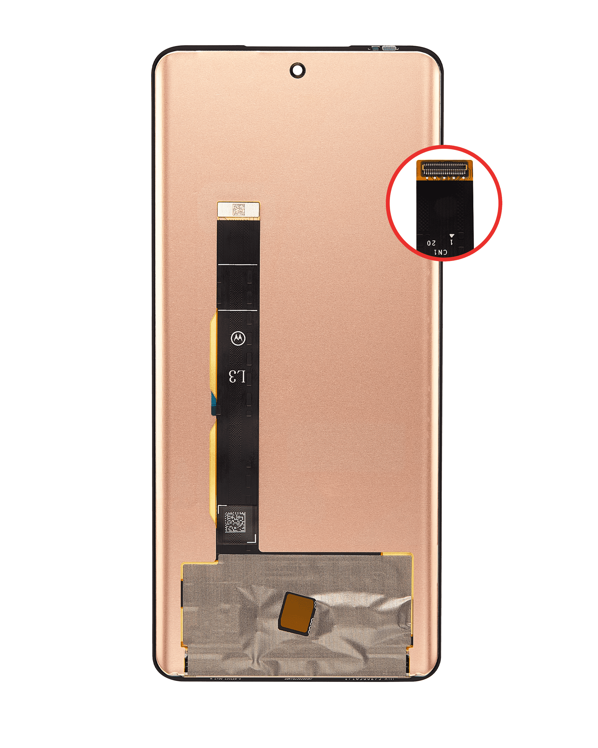 OLED Display ohne Rahmen für Motorola Moto Edge 40 (XT2303-3 / 2023) / Edge (XT2305 / 2023) (professionell aufgearbeitet) – Bild 3