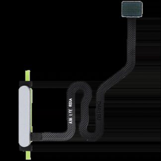 Fingerabdrucksensor mit Flexkabel für Samsung Galaxy A16 4G (A165B / 2024) (Gray (Grau))