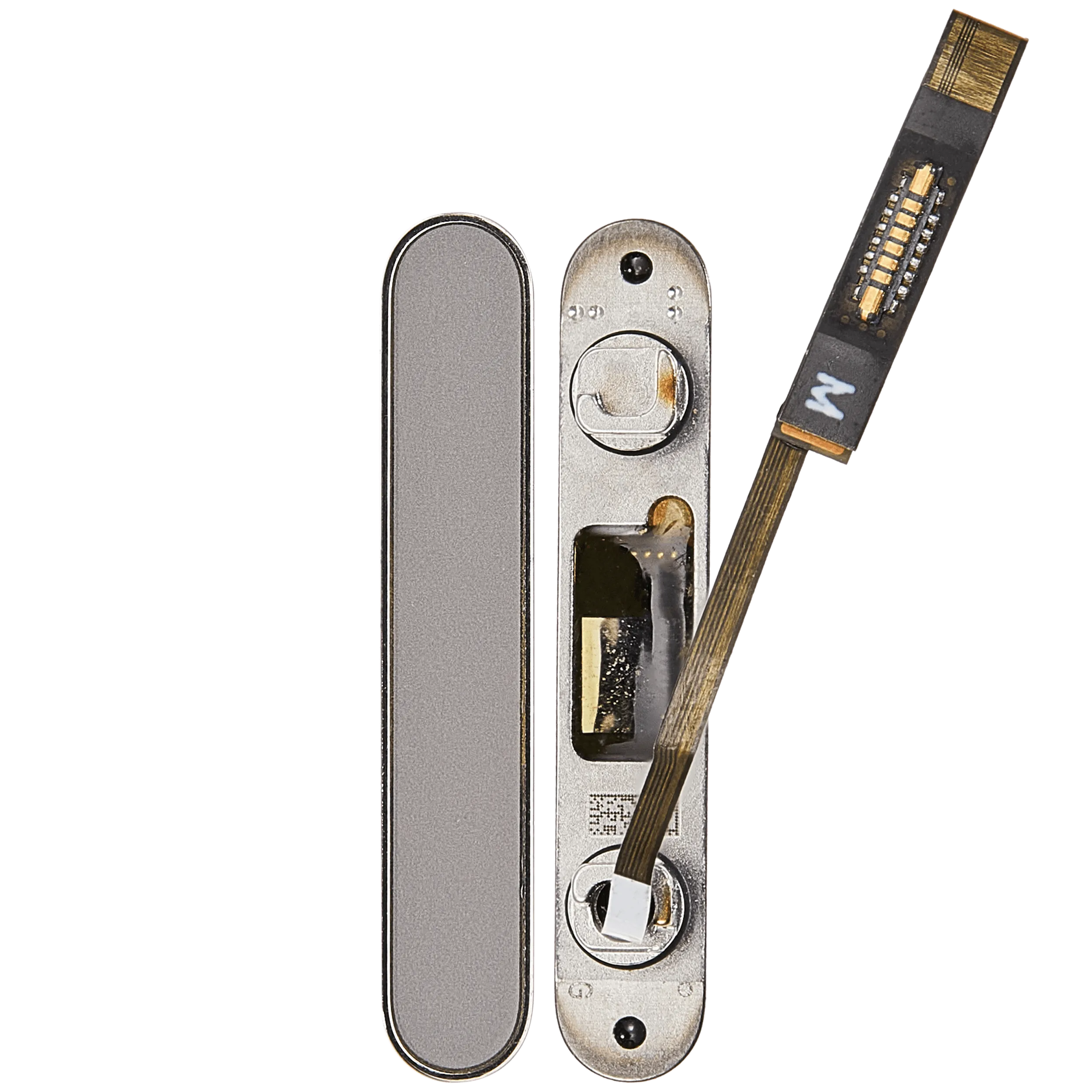 Kamera Control Taste für iPhone 16 Pro / 16 Pro Max (Natural Titanium) – Bild 2