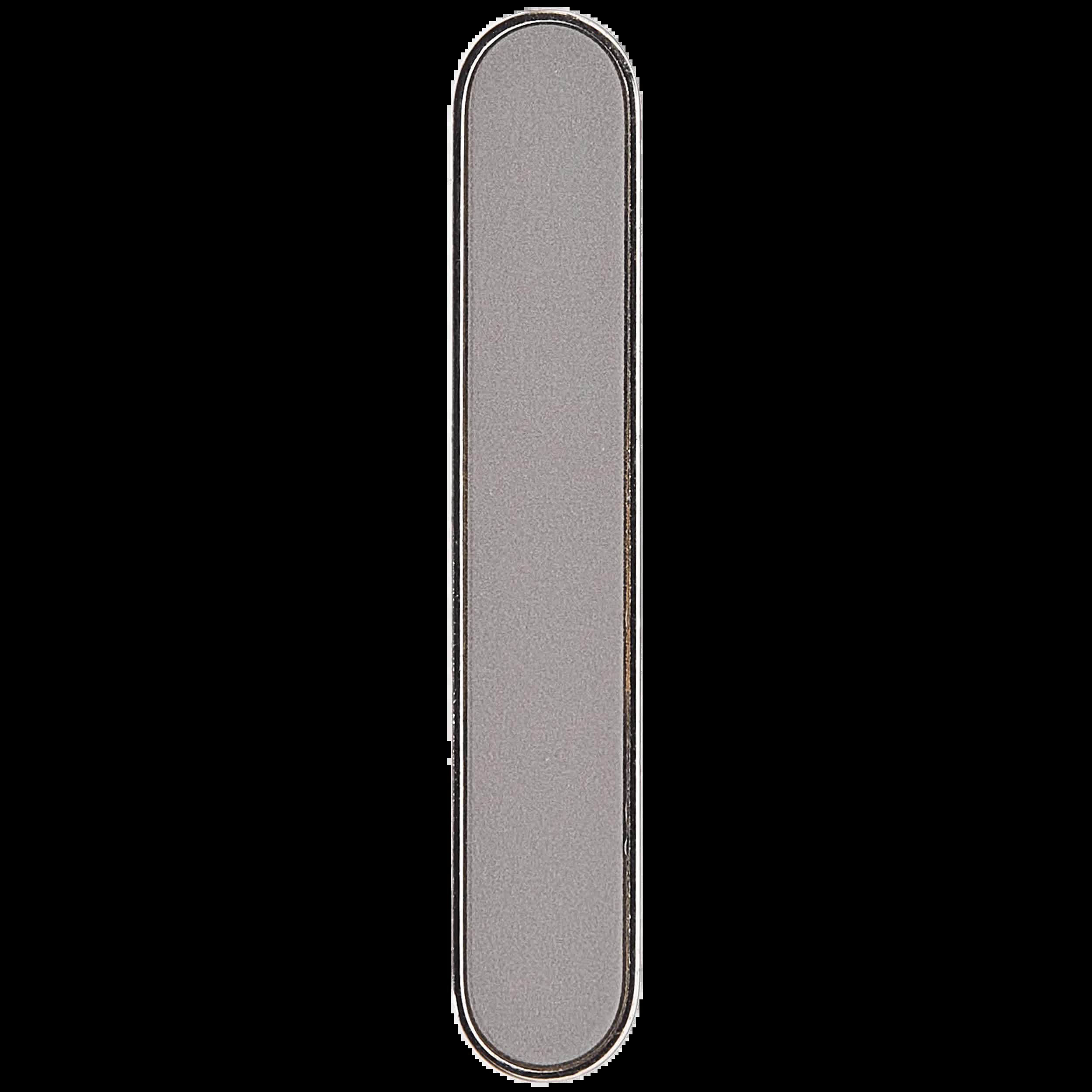 Kamera Control Taste für iPhone 16 Pro / 16 Pro Max (Natural Titanium)