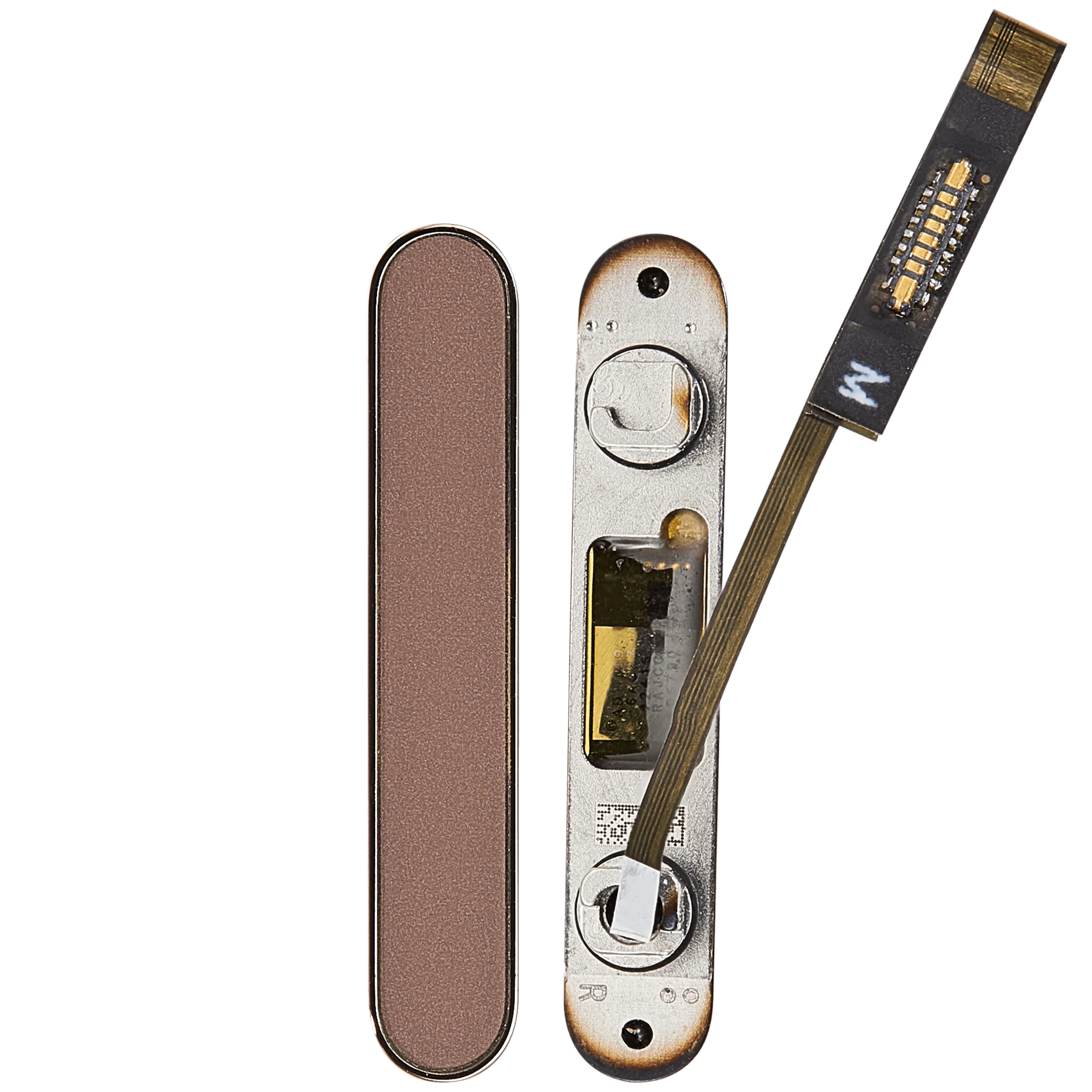 Kamera Control Taste für iPhone 16 Pro / 16 Pro Max (Desert Titanium) – Bild 2