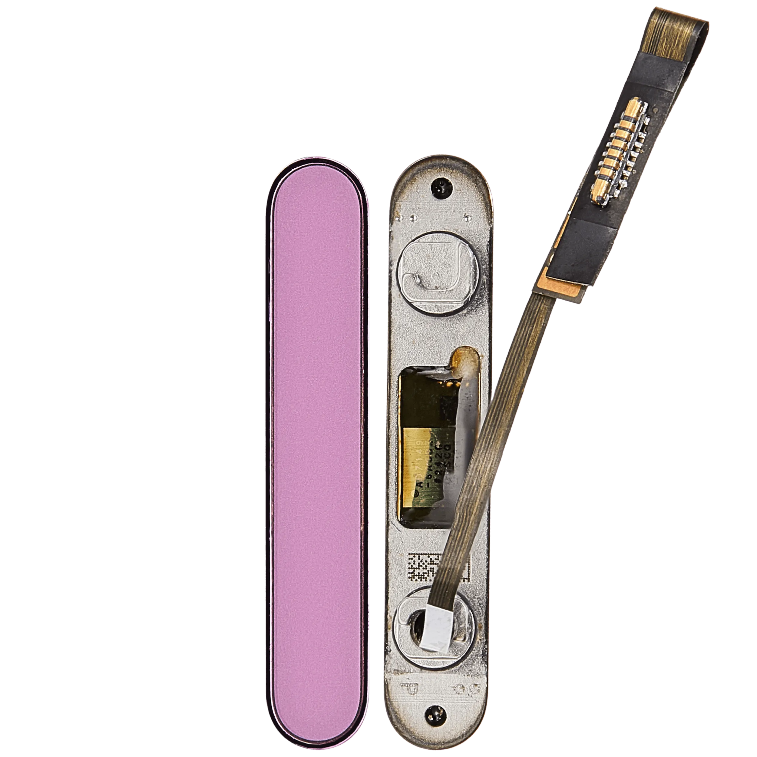 Kamera Control Taste für iPhone 16 / 16 Plus (Pink (Rosa)) – Bild 2