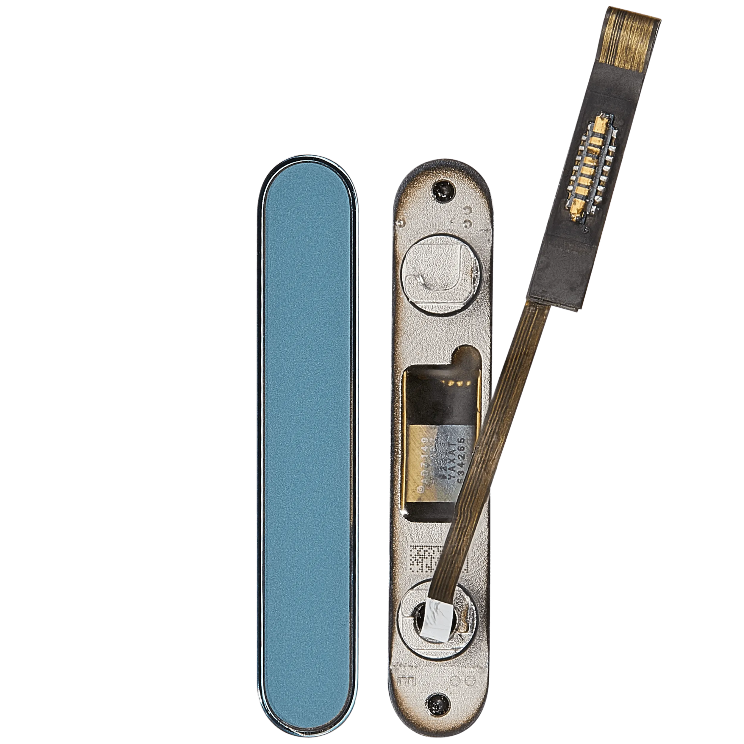 Kamera Control Taste für iPhone 16 / 16 Plus (Teal) – Bild 2