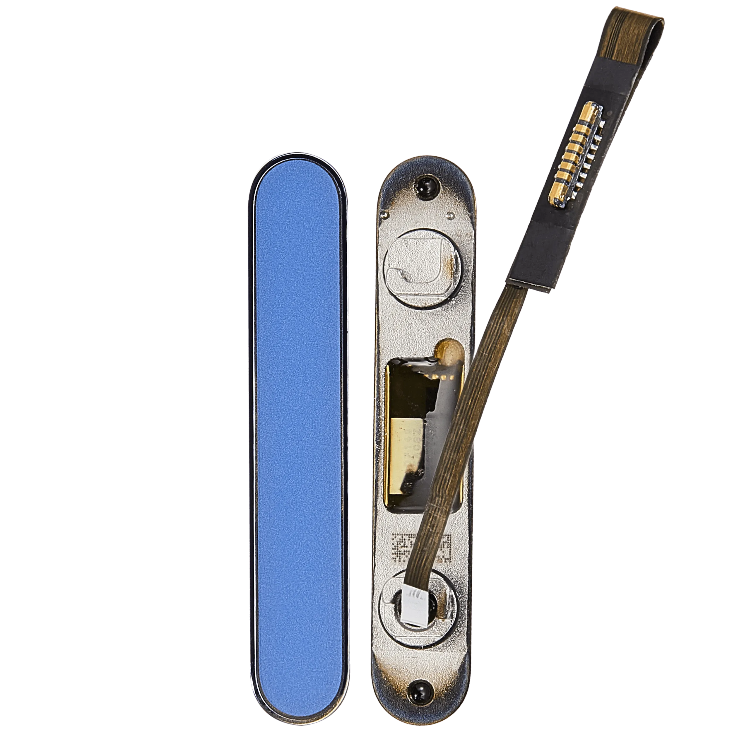 Kamera Control Taste für iPhone 16 / 16 Plus (Ultramarine) – Bild 2