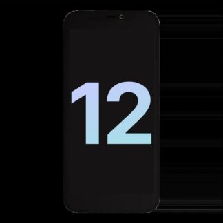 OLED Display für iPhone 12 (Original)