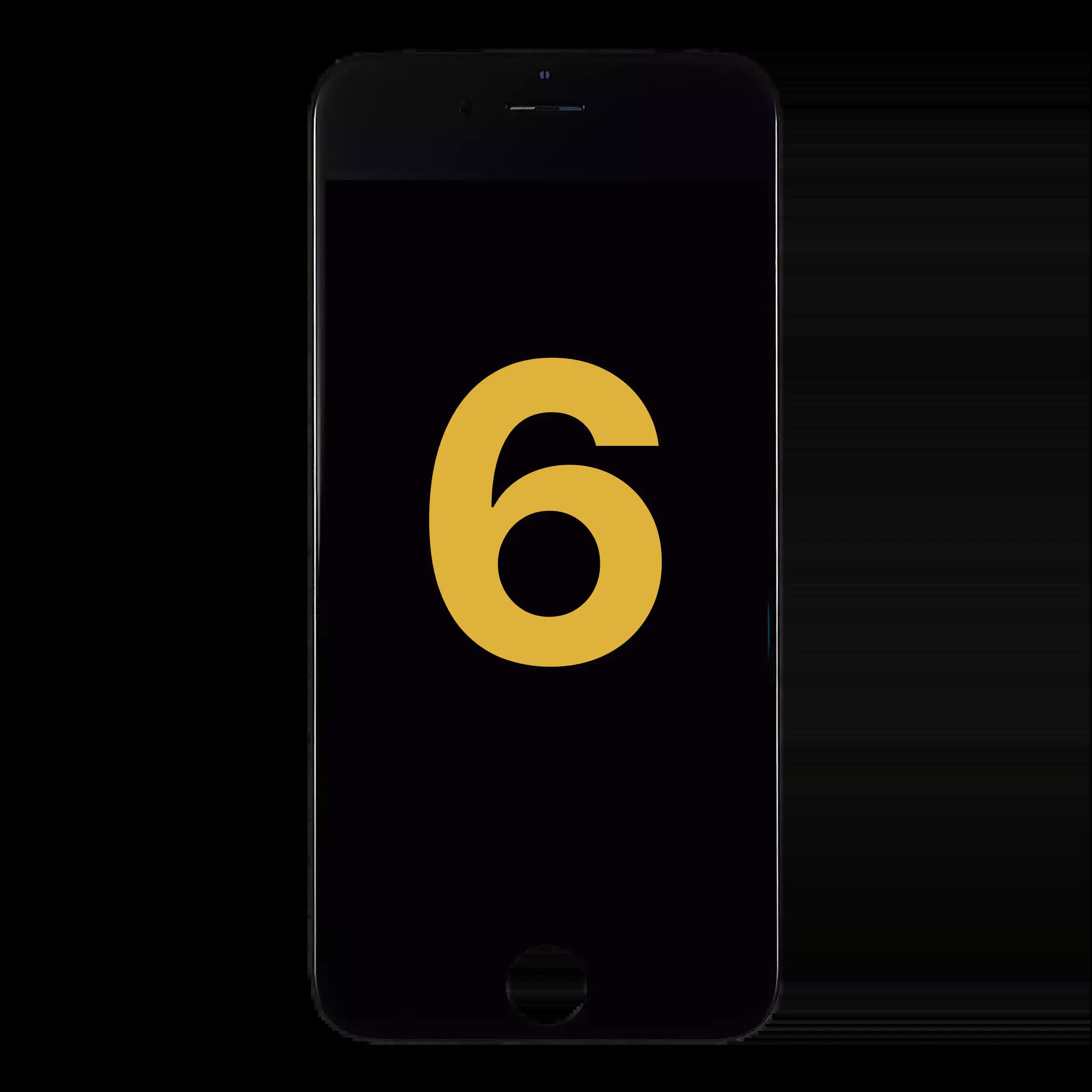 LCD Display für iPhone 6 (professionell aufgearbeitet) (Black (Schwarz))