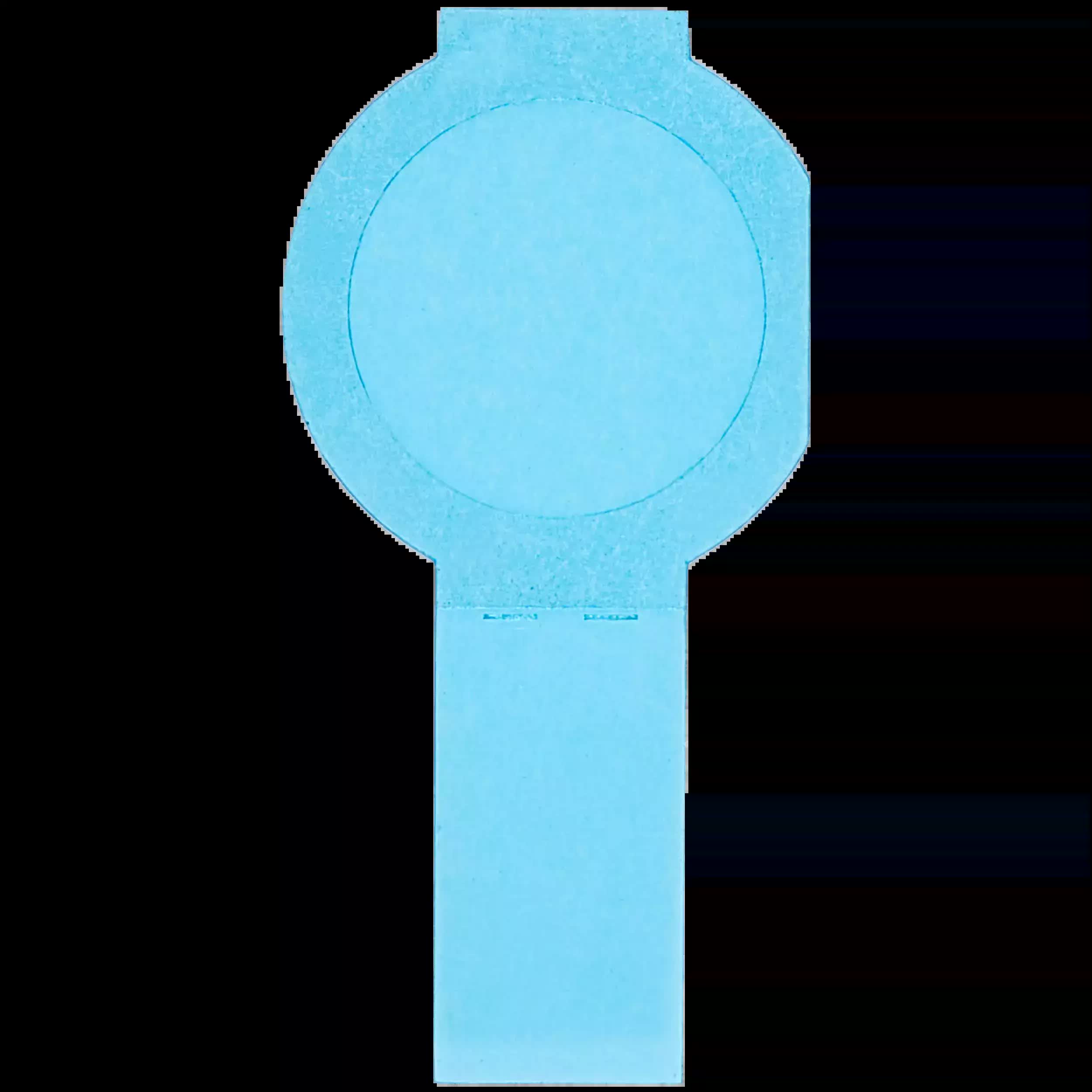 Frontkamera Klebefolie für Motorola Moto Edge Plus (XT2301 / 2023) (Original)