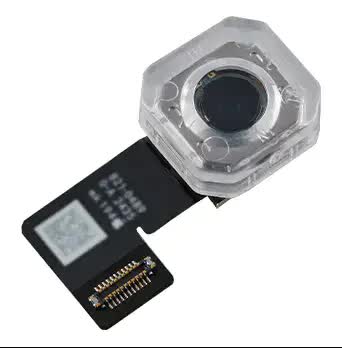 Rückkamera für iPad Mini 7 (2024) (WiFi / Cellular) (Original)