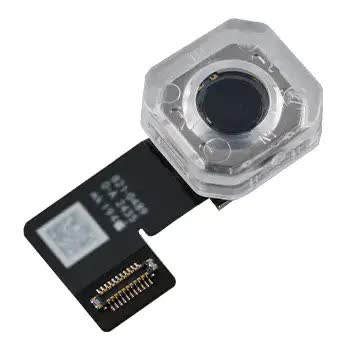 Rückkamera für iPad Mini 7 (2024) (nur WiFi) (Original)