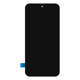 OLED Display mit Rahmen für Google Pixel 10 Pro (Original)