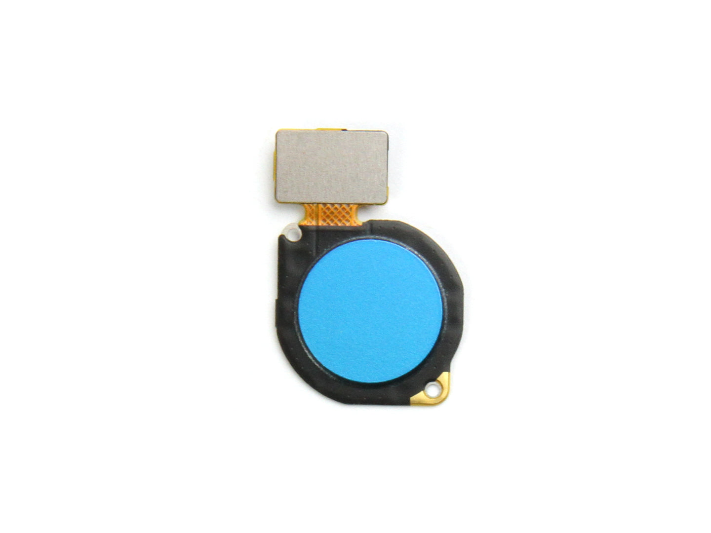 Huawei P30 Lite neu Edition, P30 Lite Fingerabdrucksensor-Flex Peacock Blue kompatibel
