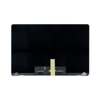 Für Apple MacBook Pro 16 inch (2019) A2141 Displayeinheit Silver aufbereitet